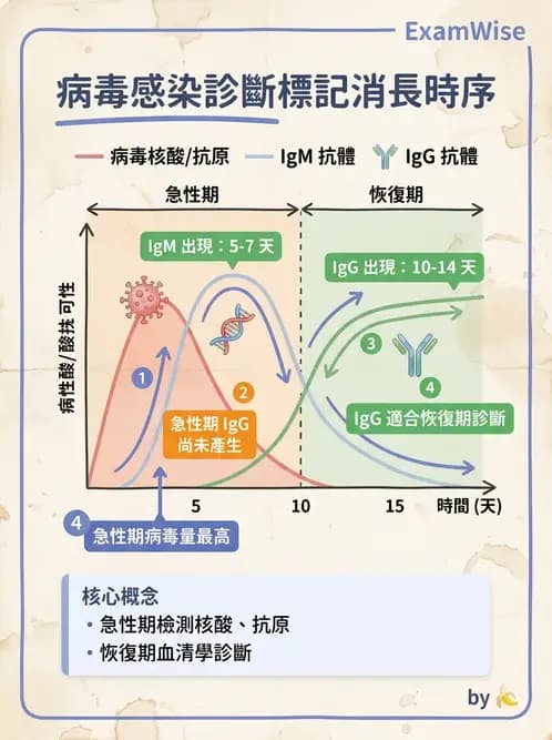 醫檢師 - 病毒檢驗技術 - AI 圖文解析預覽