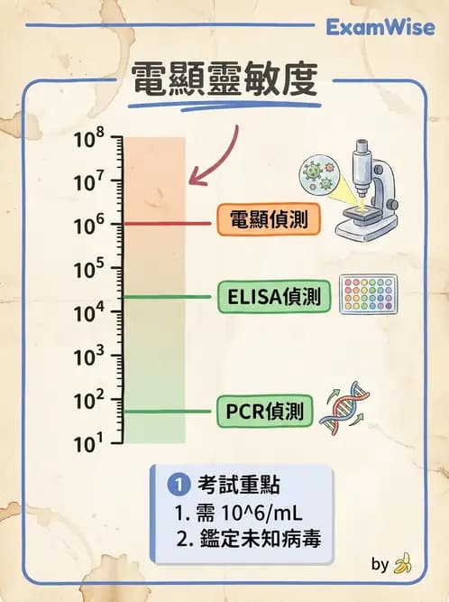 醫檢師 - 病毒檢驗技術 - AI 圖文解析預覽