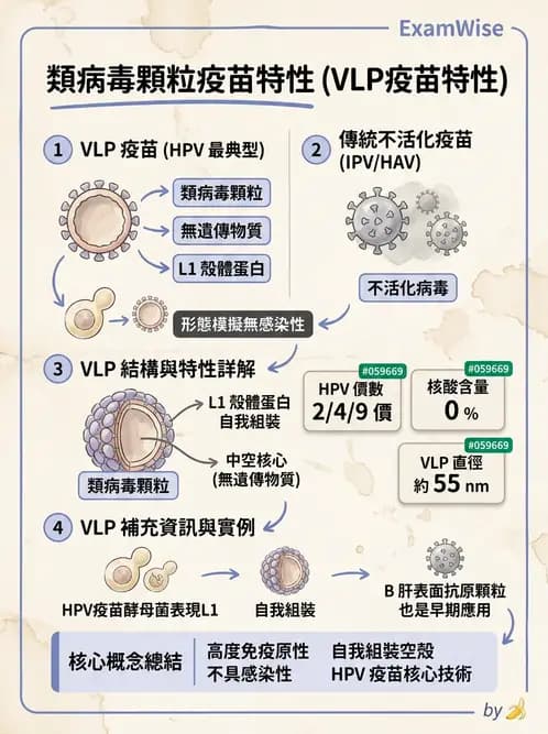 醫檢師 - 人類乳突病毒 - AI 圖文解析預覽