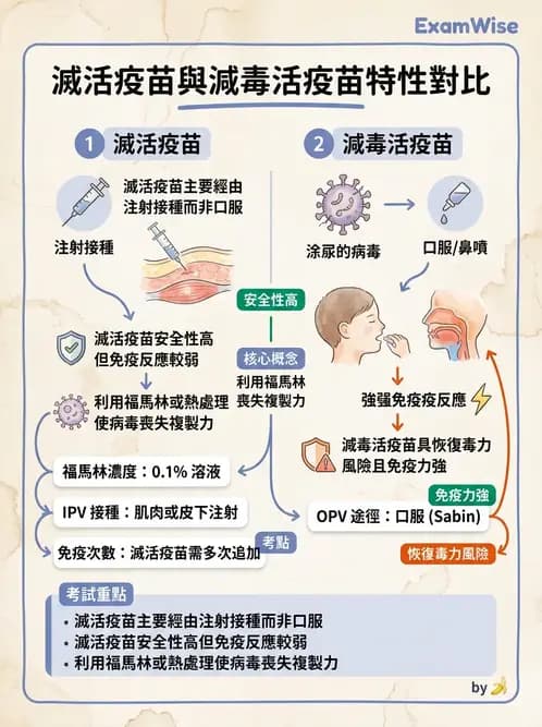 醫檢師 - 抗病毒藥物與疫苗通論 - AI 圖文解析預覽