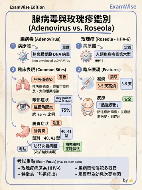 醫檢師 - 腺病毒與痘病毒 - AI 圖文解析預覽