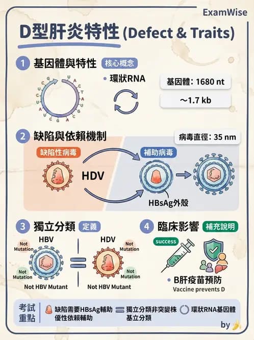 醫檢師 - 其他RNA病毒 - AI 圖文解析預覽