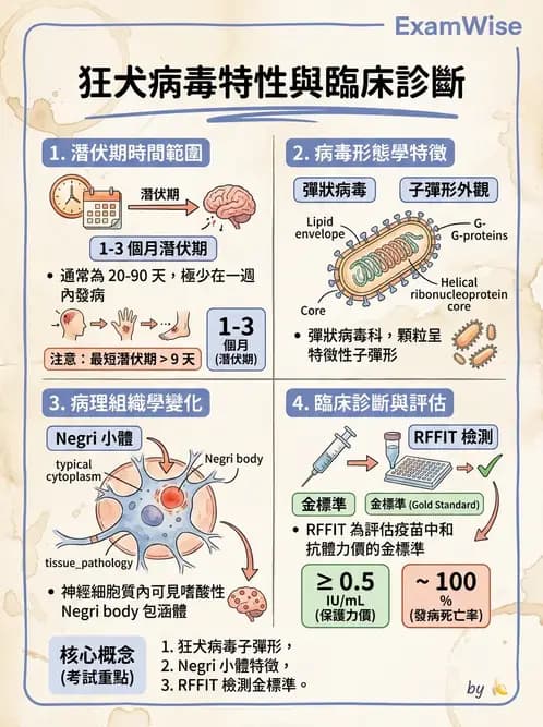 醫檢師 - 其他RNA病毒 - AI 圖文解析預覽