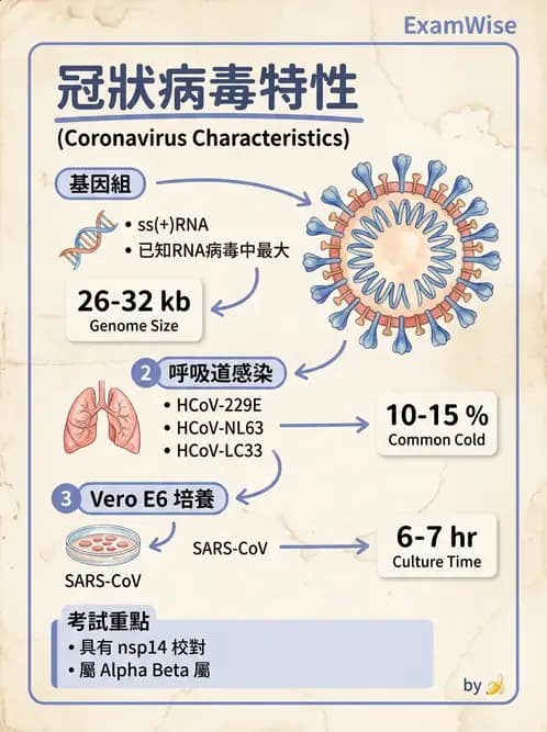 醫檢師 - 冠狀病毒科 - AI 圖文解析預覽