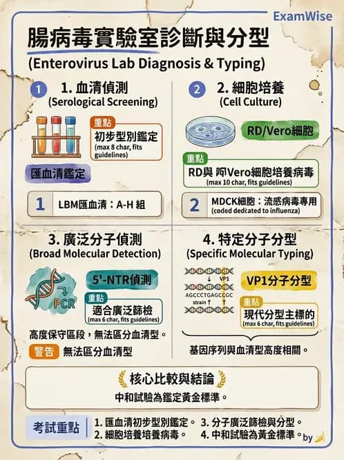 醫檢師 - 小RNA病毒科與腸道病毒 - AI 圖文解析預覽