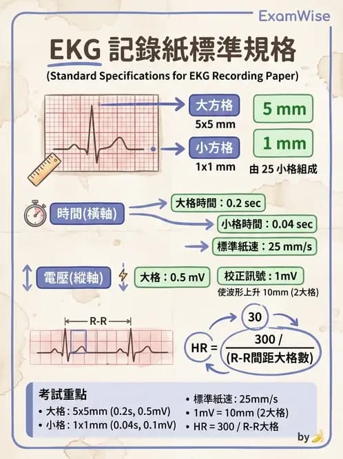 醫檢師 - 心電圖基礎與判讀 - AI 圖文解析預覽