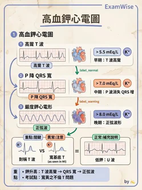 醫檢師 - 心肌病變與特殊心電圖 - AI 圖文解析預覽