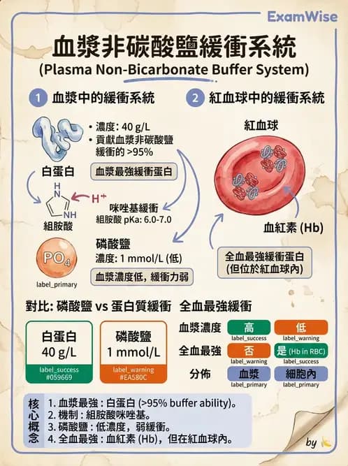 醫檢師 - 血液氣體分析 - AI 圖文解析預覽