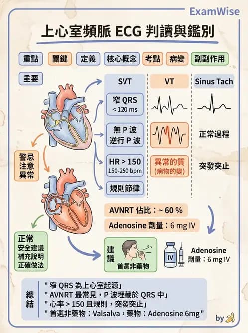 醫檢師 - 心律不整判讀 - AI 圖文解析預覽