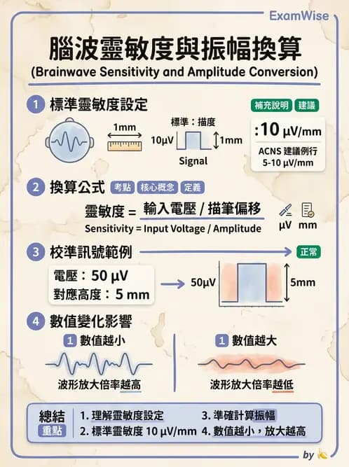 醫檢師 - 腦電圖檢查 - AI 圖文解析預覽