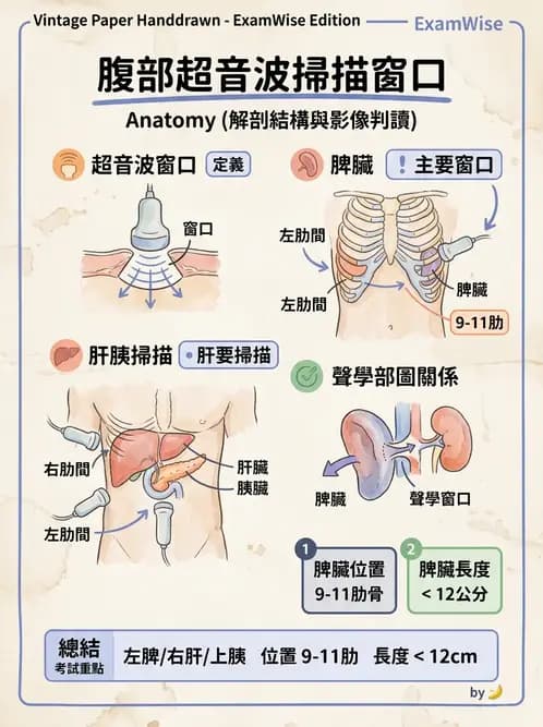 醫檢師 - 超音波檢查 - AI 圖文解析預覽