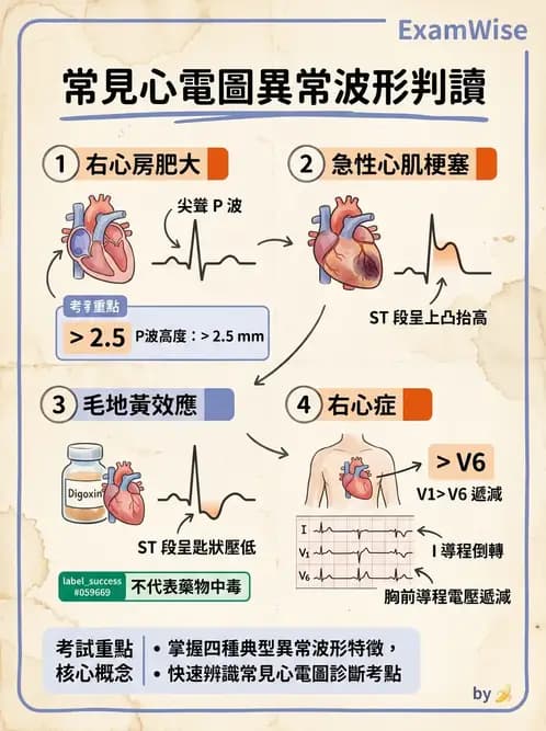 醫檢師 - 心肌病變與特殊心電圖 - AI 圖文解析預覽