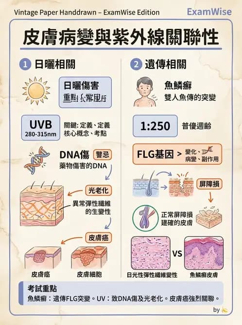 醫檢師 - 物理和化學傷害及營養疾病 - AI 圖文解析預覽