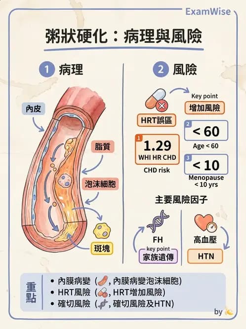 醫檢師 - 心血管疾病 - AI 圖文解析預覽