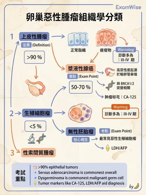 醫檢師 - 乳房及女性生殖疾病 - AI 圖文解析預覽