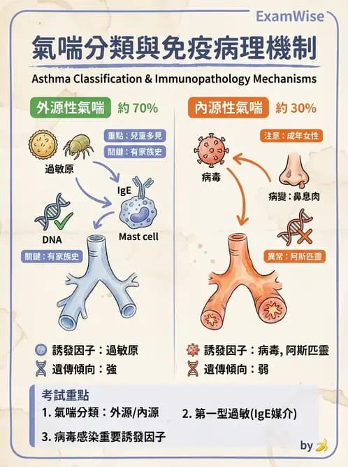 醫檢師 - 呼吸系統疾病 - AI 圖文解析預覽