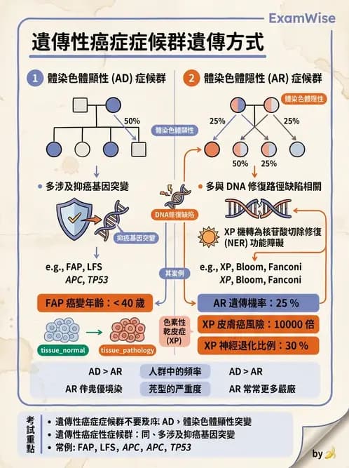 醫檢師 - 遺傳和發育疾病 - AI 圖文解析預覽