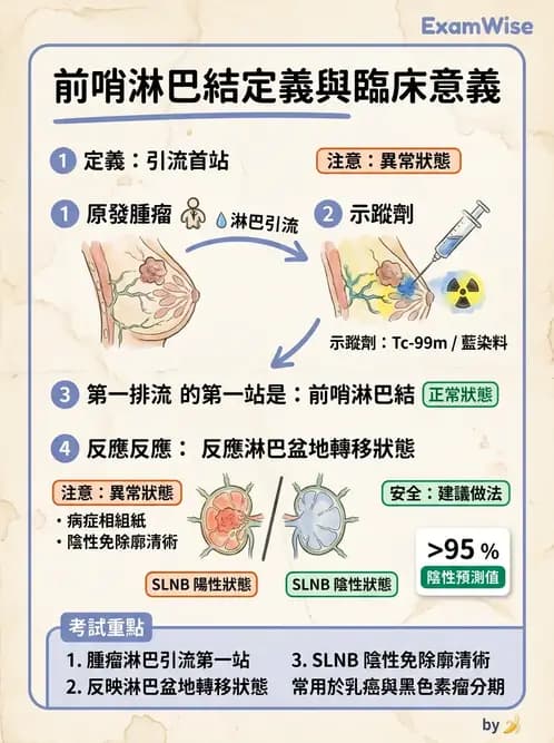 醫檢師 - 腫瘤概論 - AI 圖文解析預覽