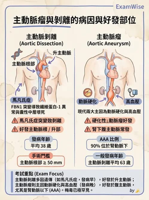 醫檢師 - 心血管疾病 - AI 圖文解析預覽