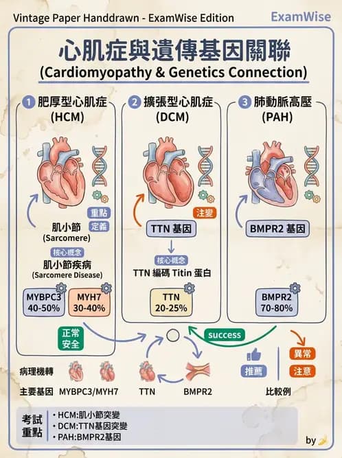 醫檢師 - 心血管疾病 - AI 圖文解析預覽