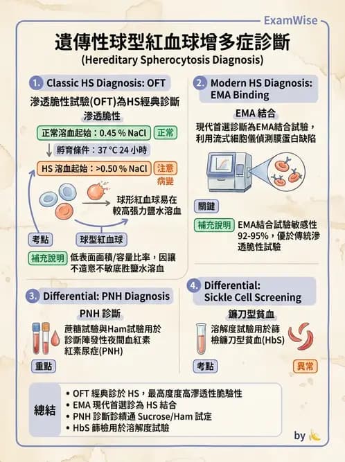 醫檢師 - 溶血性貧血與血色素病變 - AI 圖文解析預覽