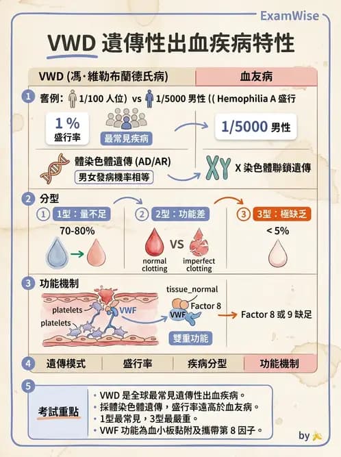 醫檢師 - 出血性疾病與檢驗 - AI 圖文解析預覽