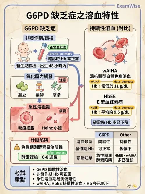 醫檢師 - 溶血性貧血與血色素病變 - AI 圖文解析預覽