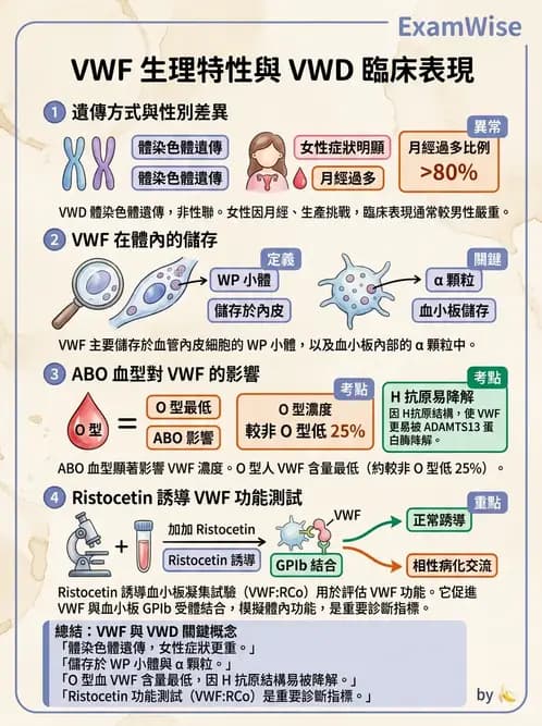 醫檢師 - 血小板與止血生理 - AI 圖文解析預覽
