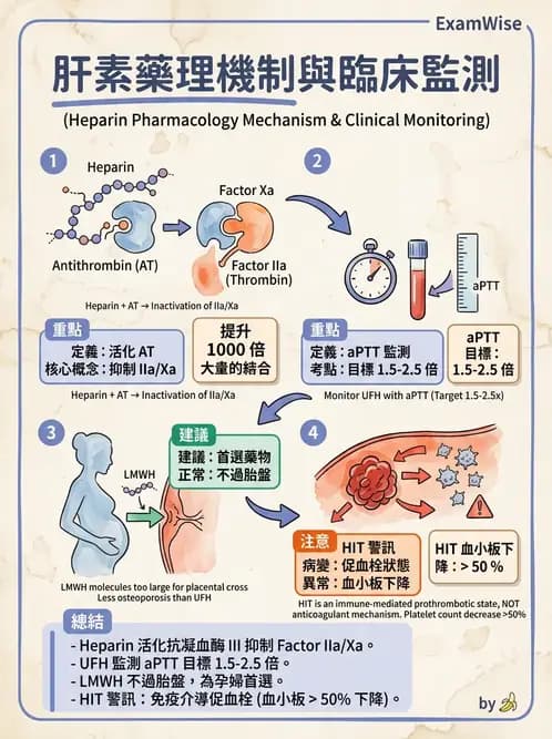 醫檢師 - 血栓性疾病與抗凝治療監測 - AI 圖文解析預覽