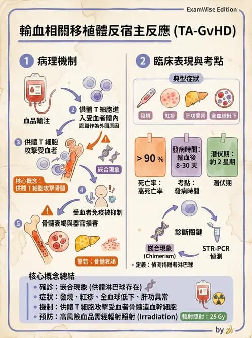 醫檢師 - 輸血反應與血庫品管 - AI 圖文解析預覽