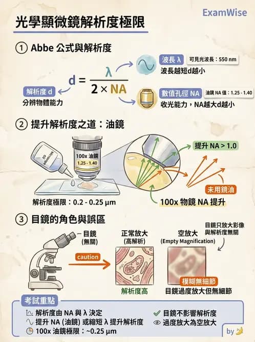 醫檢師 - 顯微鏡原理與操作 - AI 圖文解析預覽