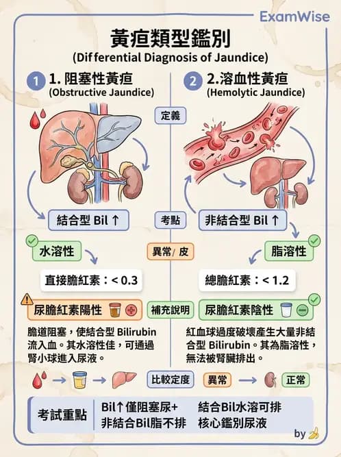 醫檢師 - 尿液化學檢驗 - AI 圖文解析預覽