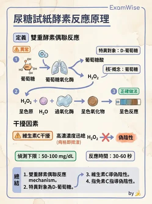 醫檢師 - 尿液化學檢驗 - AI 圖文解析預覽