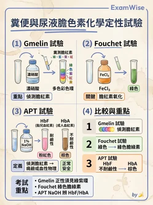 醫檢師 - 糞便常規檢查 - AI 圖文解析預覽