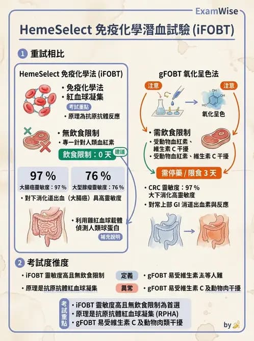 醫檢師 - 糞便常規檢查 - AI 圖文解析預覽