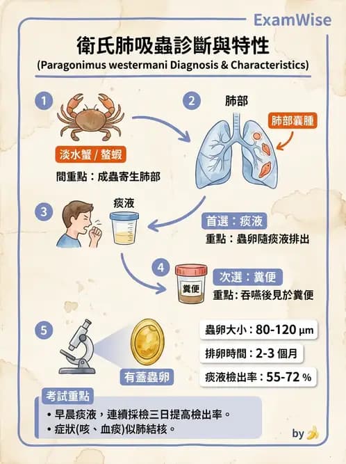 醫檢師 - 痰液一般鏡檢 - AI 圖文解析預覽