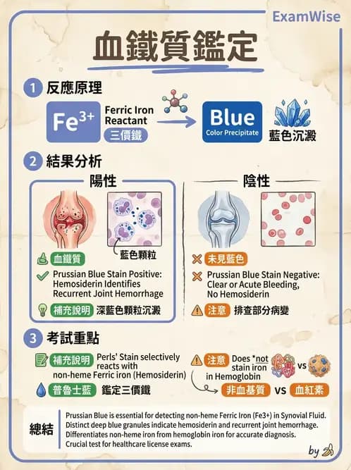 醫檢師 - 滑膜液檢查 - AI 圖文解析預覽