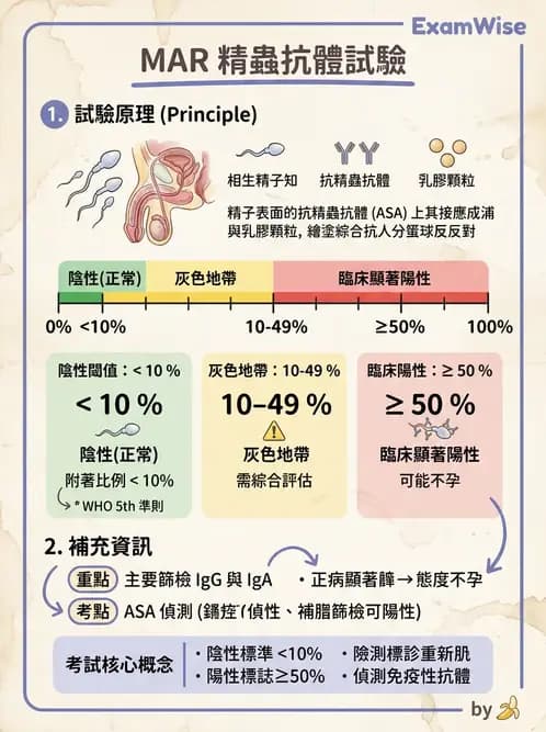 醫檢師 - 精液檢查 - AI 圖文解析預覽