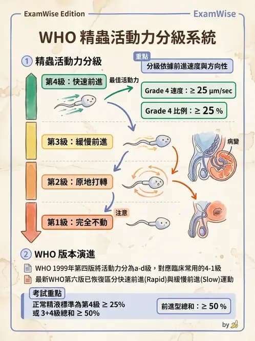 醫檢師 - 精液檢查 - AI 圖文解析預覽