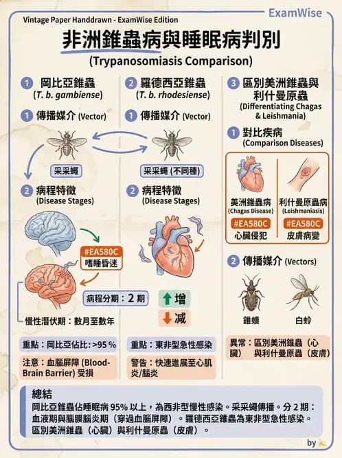 醫檢師 - 寄生蟲檢查-原蟲類 - AI 圖文解析預覽