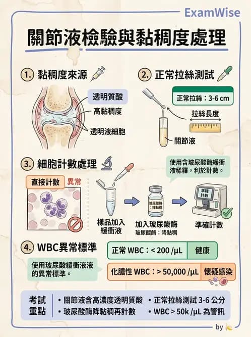 醫檢師 - 鏡檢綜合性試題 - AI 圖文解析預覽