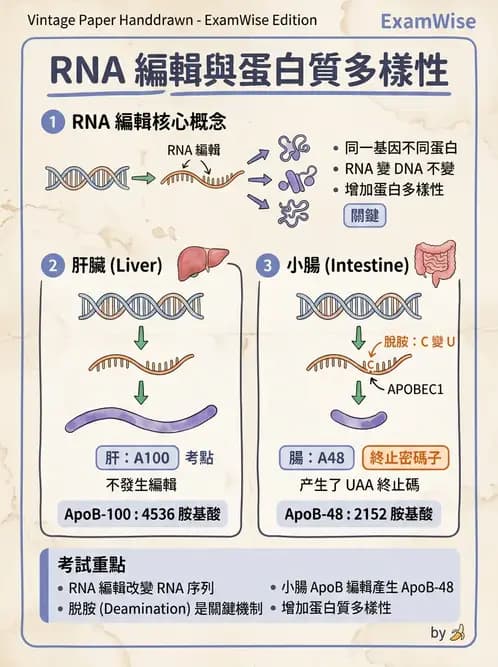 醫檢師 - 基礎分子生物學 - AI 圖文解析預覽