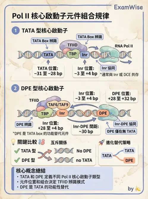 醫檢師 - 基礎分子生物學 - AI 圖文解析預覽
