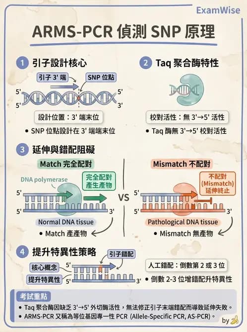 醫檢師 - 核酸擴增與萃取技術 - AI 圖文解析預覽