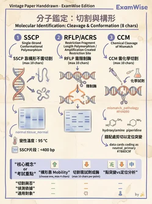 醫檢師 - 定序電泳與表觀分析 - AI 圖文解析預覽