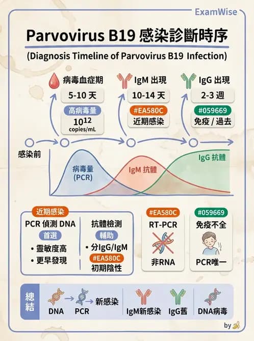 醫檢師 - 感染症分子檢驗 - AI 圖文解析預覽