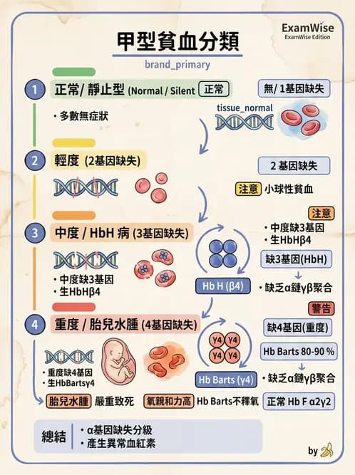 醫檢師 - 遺傳疾病基因檢測 - AI 圖文解析預覽