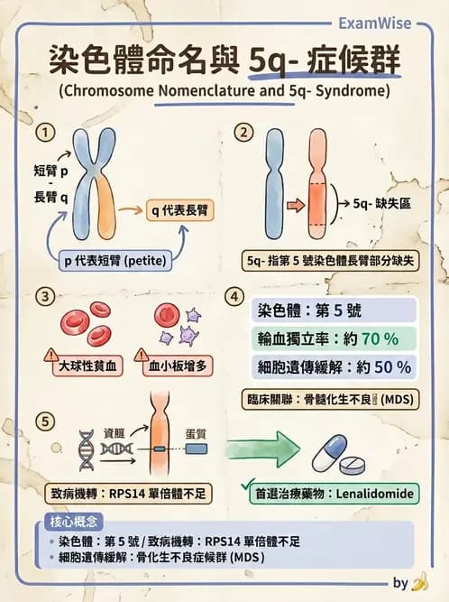 醫檢師 - 腫瘤疾病基因檢測 - AI 圖文解析預覽