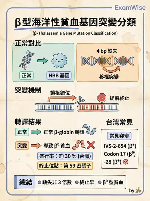 醫檢師 - 遺傳疾病基因檢測 - AI 圖文解析預覽