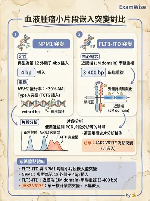 醫檢師 - 腫瘤疾病基因檢測 - AI 圖文解析預覽
